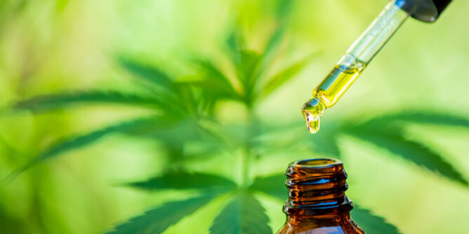 12 668x334 2 - What Are the Different Types of CBD Oil That Exist Today?