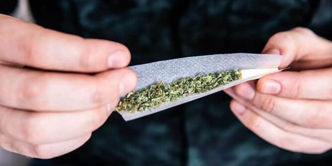 28 2 668x334 1 - Ready to Roll: How to Choose the Best Rolling Papers