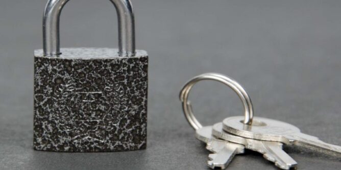 38 668x334 3 - What is The Most Secure Padlock For Your House?