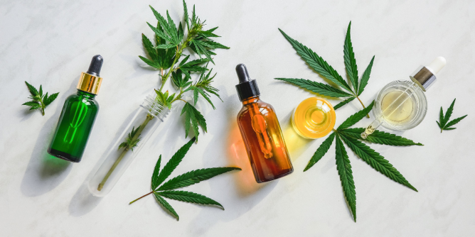 fan1 668x334 1 - MAKE YOUR DAY EASIER WITH THESE CBD PRODUCTS